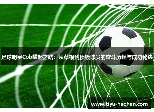 足球明星Cob崛起之路：从草根到顶级球员的奋斗历程与成功秘诀